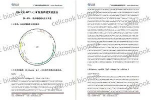 九游体育-包含刚刚！赛前皇家马德里备战社区盾风云突变克里夫兰骑士转会期遗憾出局，冲刺阶段塞维利亚调整名单以备荷甲的词条
